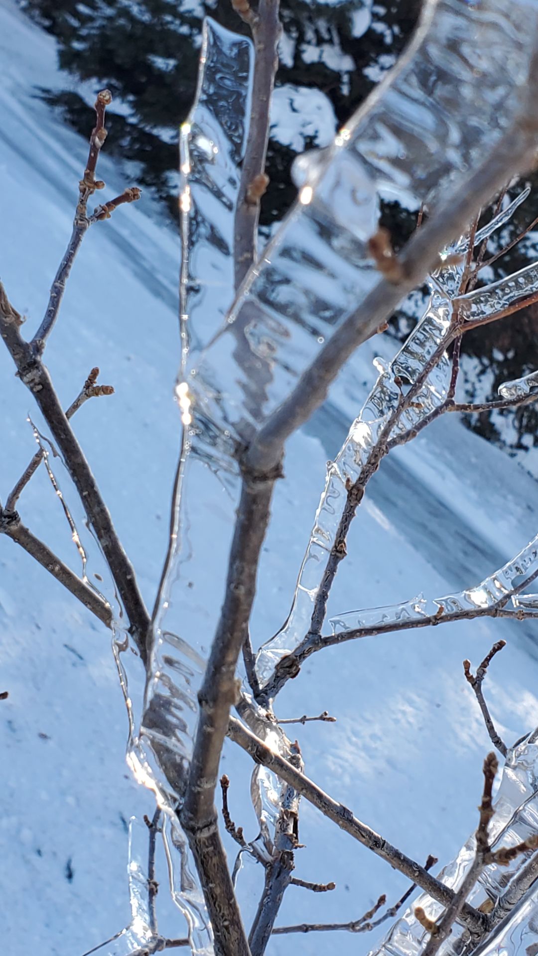 PHOTOS: Snow photos from Star-Herald staff and readers